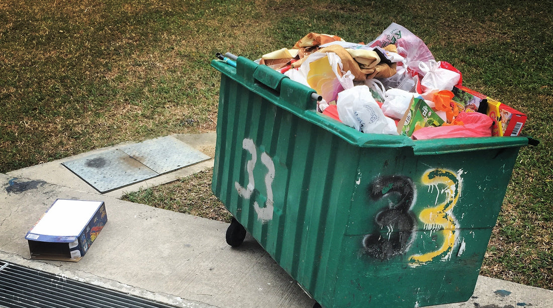 (Policy Meets Practice): Beyond the Bin: What Singapore's Expanded EPR Means for Packaging